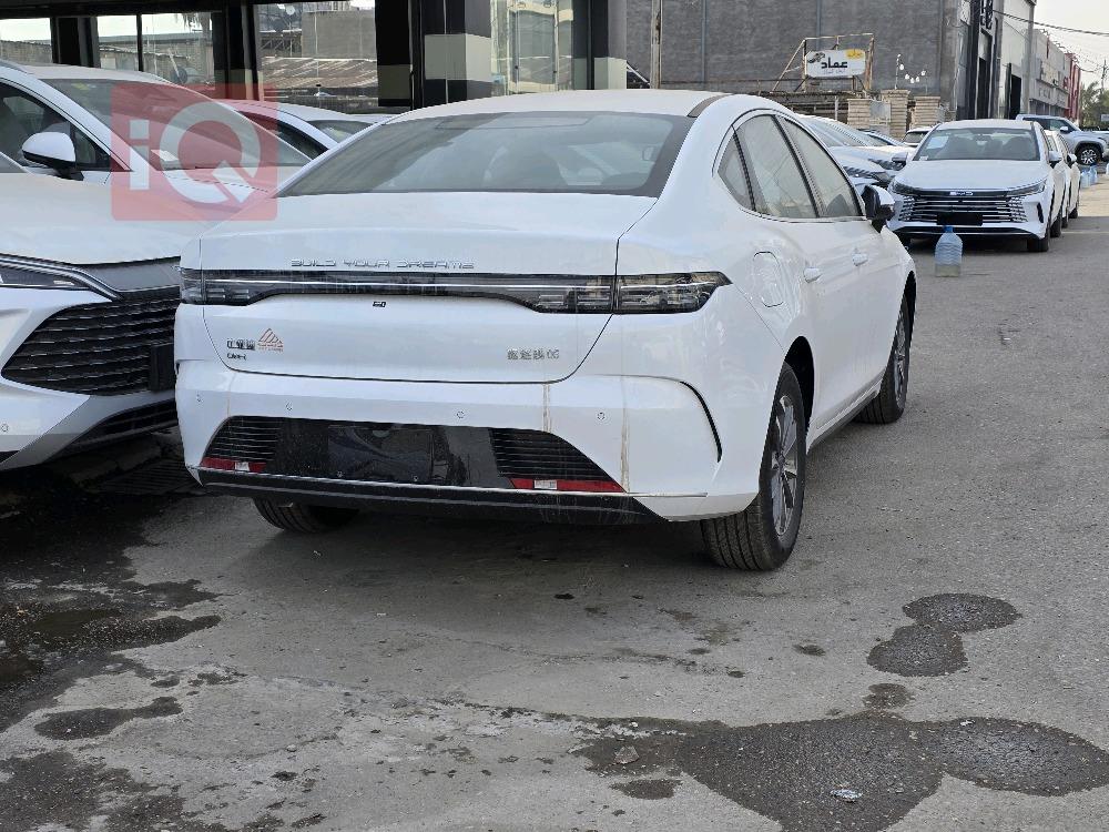 بي واي دي ديستروير 05